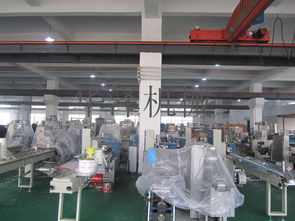 中小企業福音 溫州產多功能食品包裝機與軟件開發服務，一站式高性價比解決方案